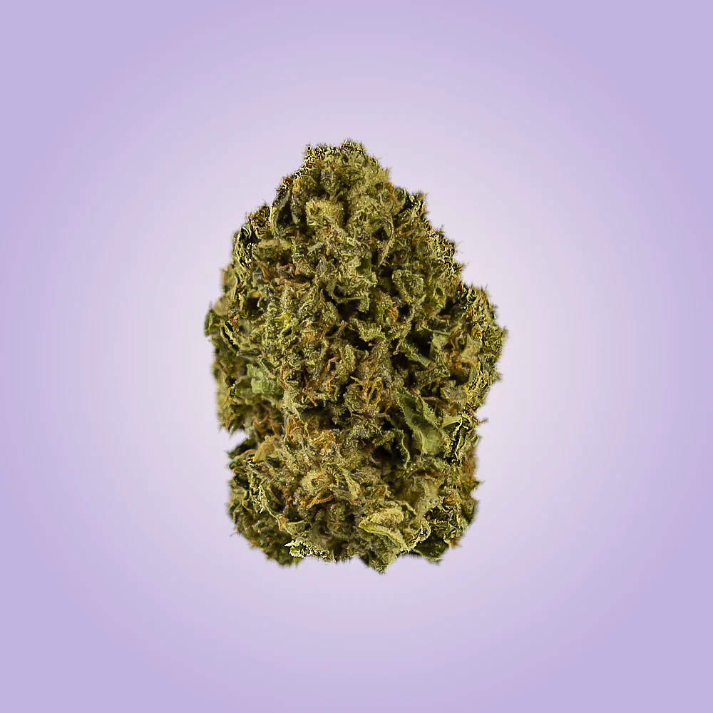 Premium Economy THCA Flower - Image 5